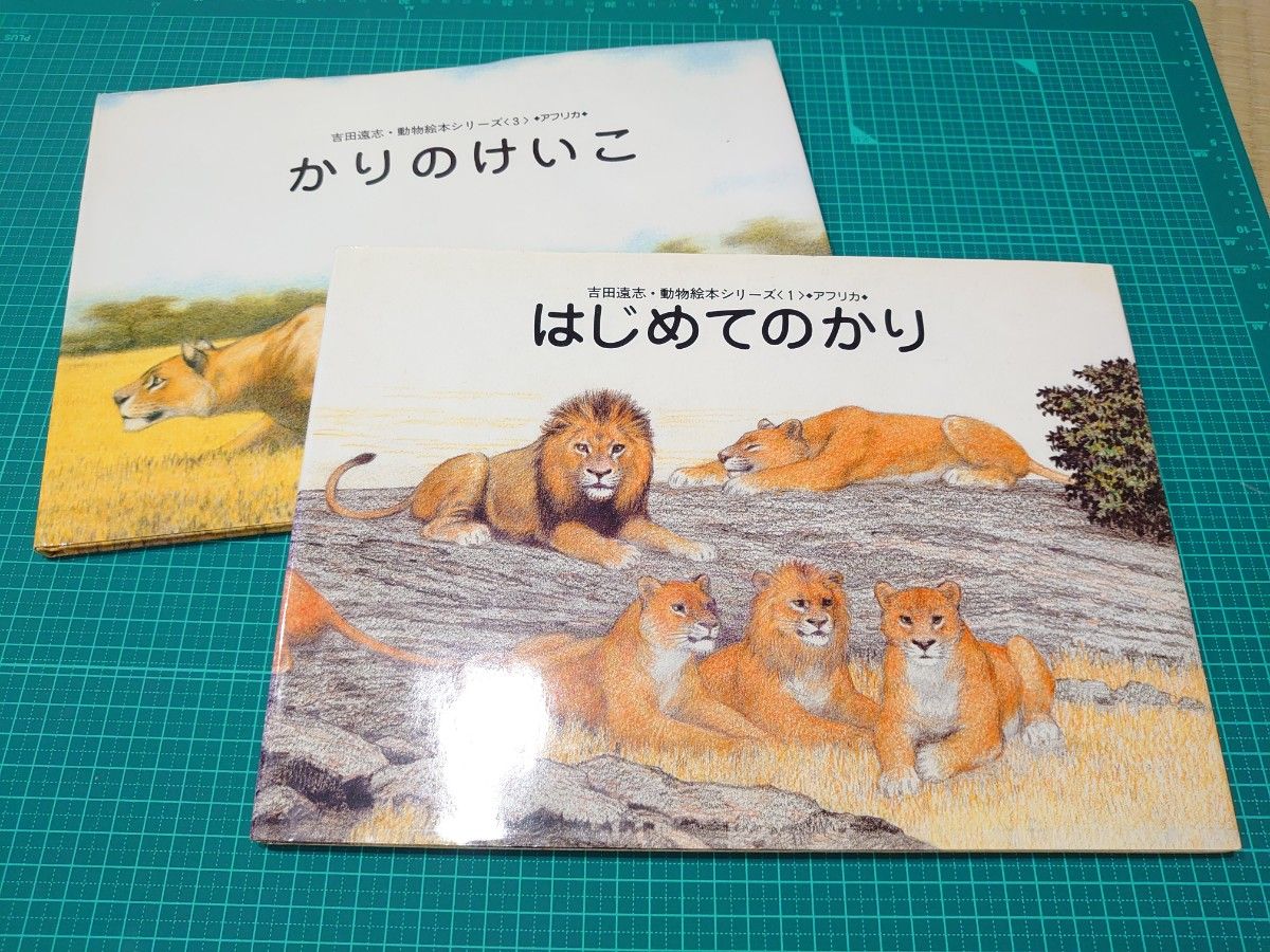 動物えほん2冊セット/アフリカ はじめてのかり かりのけいこ 動物えほん2冊セット/アフリカ はじめてのかり かりのけいこ