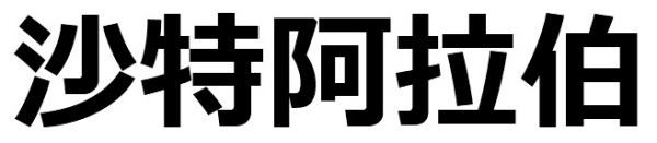 ヤフオク サウジアラビア 国名 漢字 ドライｔシャツ お土