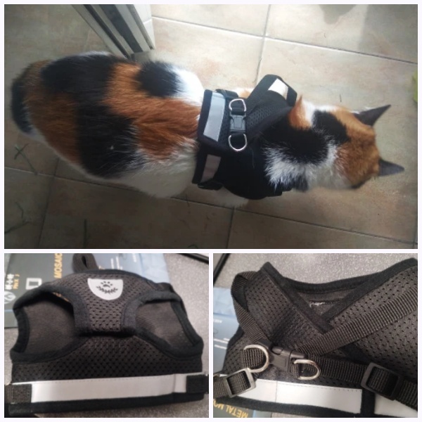  remainder barely cat for harness lead set . walk set outing set S size harness black black touch fasteners adjustment possibility nyanko one 