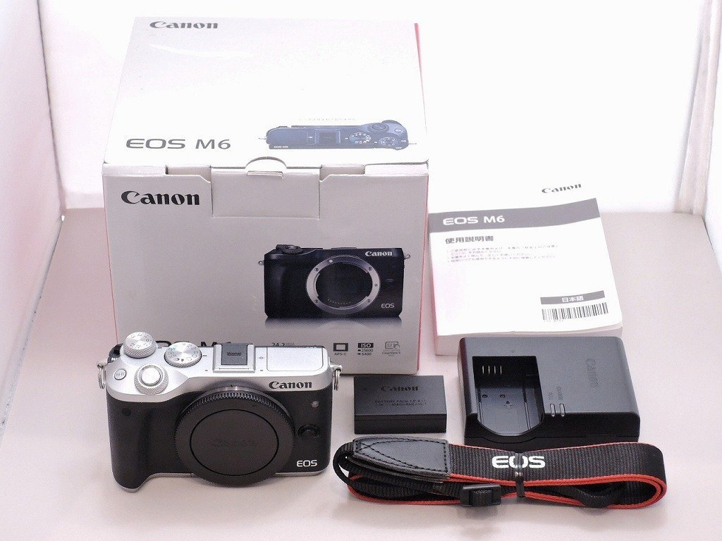 ずっと気になってた Canon キヤノン ミラーレス一眼カメラ M6 EOS