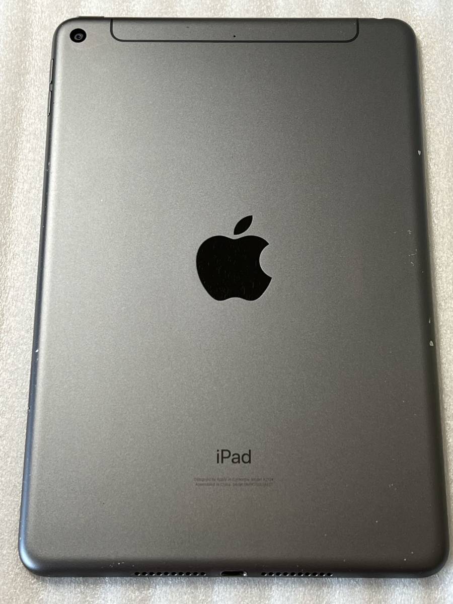 中古SIMフリーiPad mini 第5世代64GB MUX52J/A グレー一括○ 送料無料