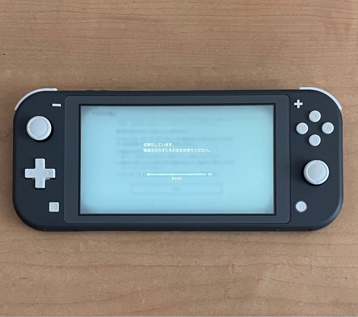 【極美品/送料無料】Nintendo Switch Lite ニンテンドースイッチライト 本体のみ グレー 充電器付き 値下不可