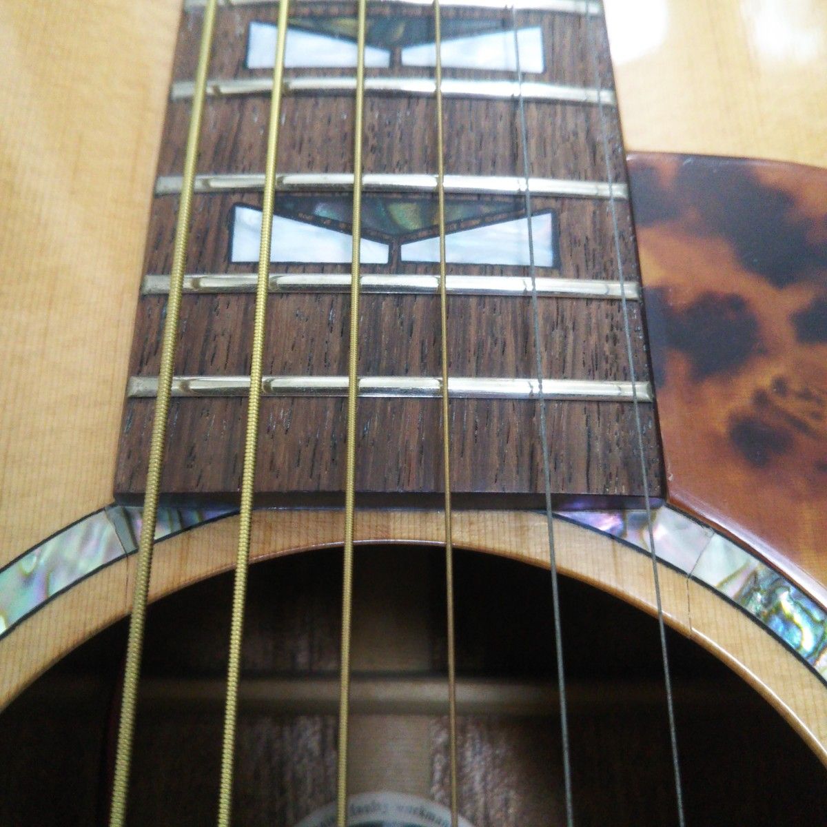 Morris エレアコ G-61 アコースティックギター