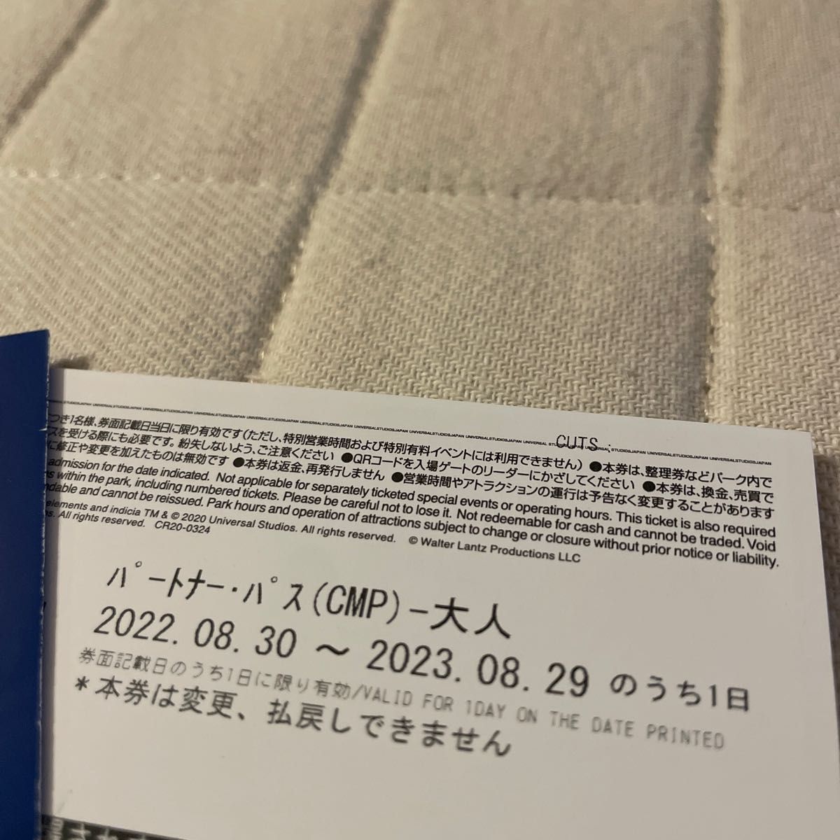ユニバーサルスタジオジャパン usj チケット 入場券 大人 2023年