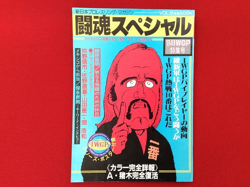 【昭和の伝説のプロレスラー/プロレスアルバム③⑥他/テリー/力道山/長州/藤波/タイガーマスク/ダイナマイトキッド/闘魂スペシャル】の画像9