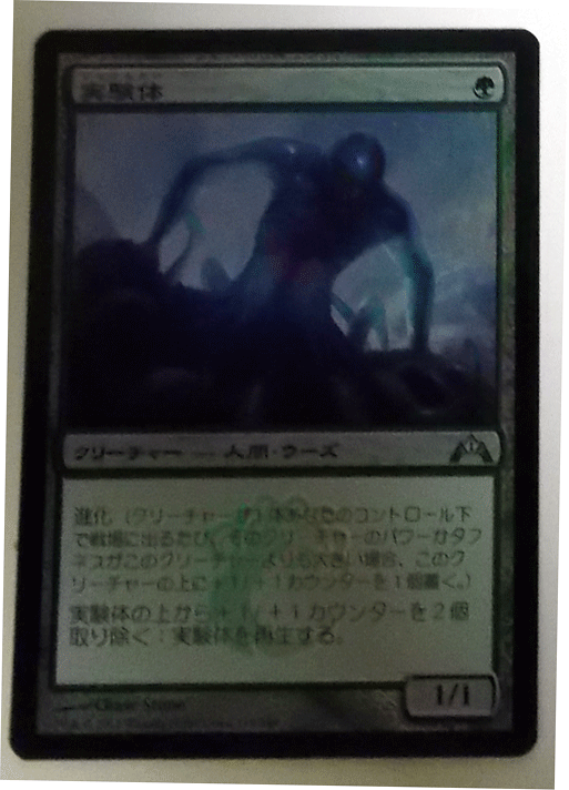 ＭTG日本語/foil/実験体/ギルド侵犯門/レア_画像1