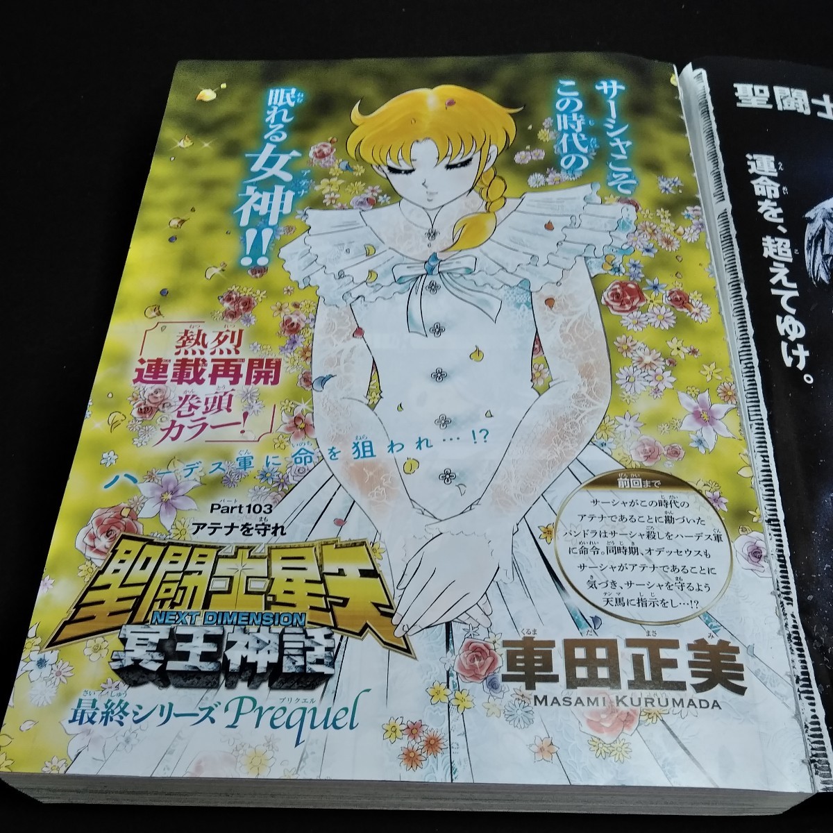 e-012 週刊少年チャンピオン2023年20号 巻頭カラー/聖闘士星矢 冥王神話 Cカラー/桃源暗鬼 天災狩り 付録なし 秋田書店※10の画像3