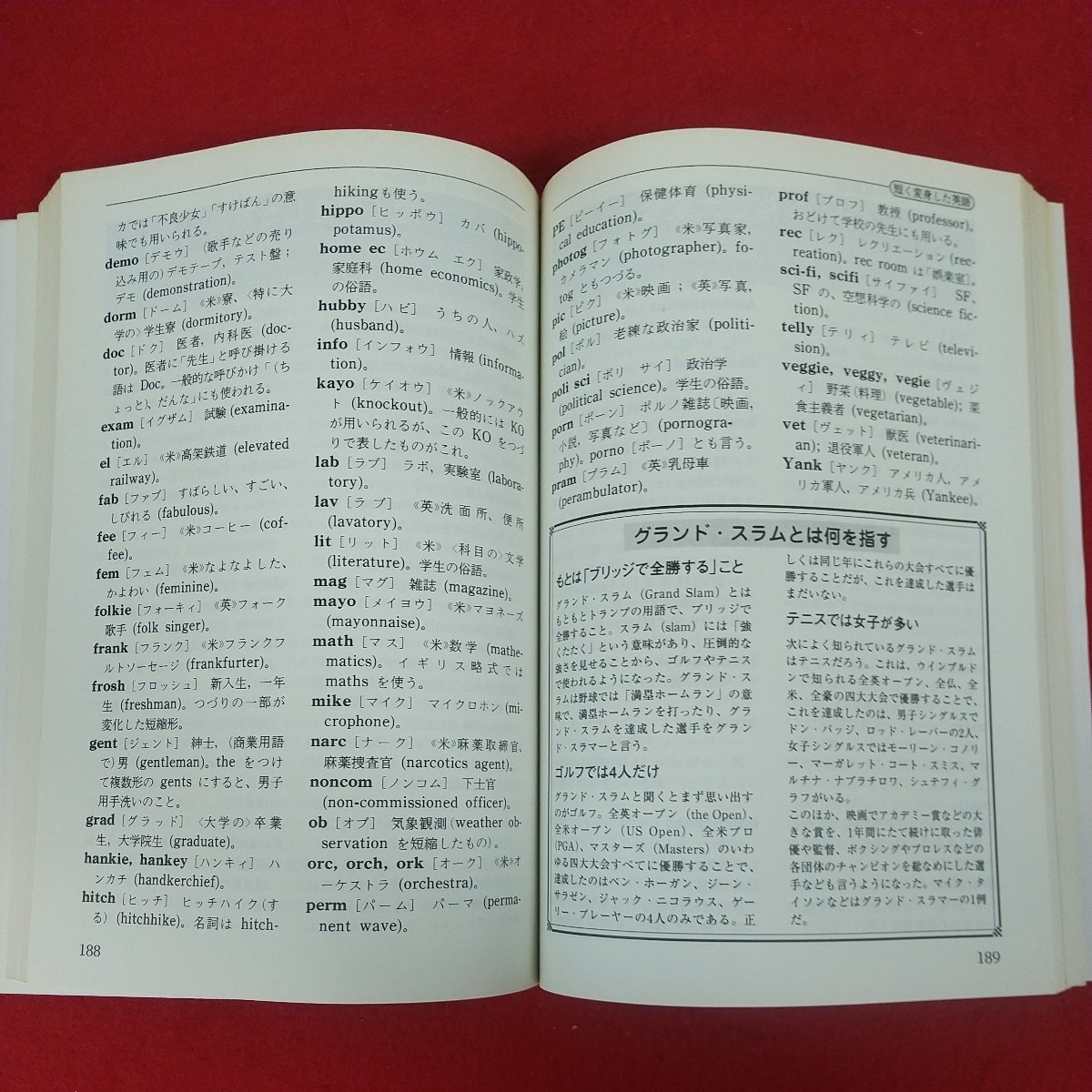 e-486※10 地球コミュニケーション時代の最新英語雑学事典 情報・知識Imidas1999別冊付録 1999年1月1日発行 集英社 ビジネスに役立つ英語_画像7