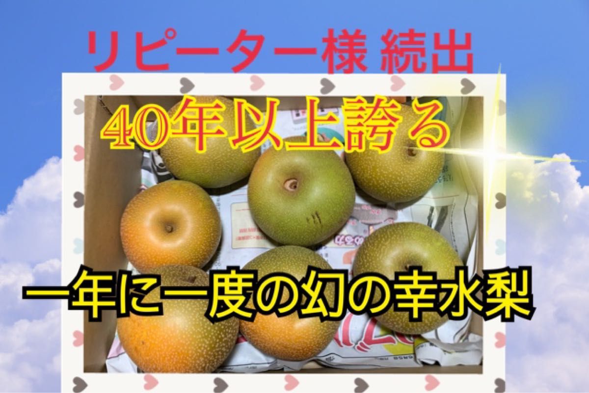 長野県産 訳あり幸水梨｜PayPayフリマ