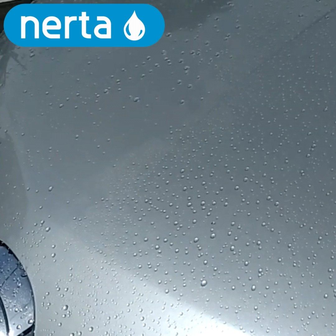 nerta SNOW FOAM