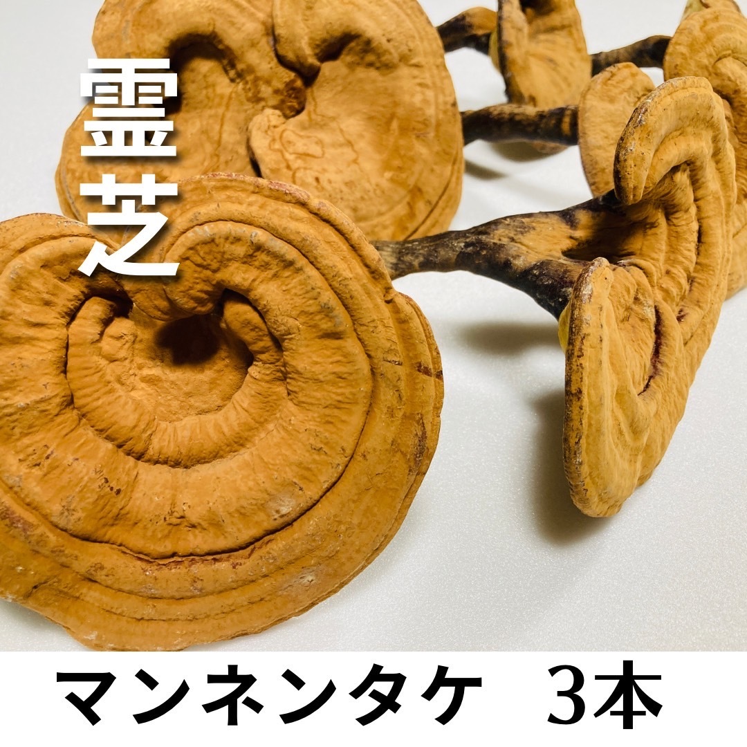 [ superior article!] bracket fungus mannentake 3 pcs set 60g rom and rear (before and after) * free shipping * 3,300 jpy ~ monkey noko deer ke mushrooms 