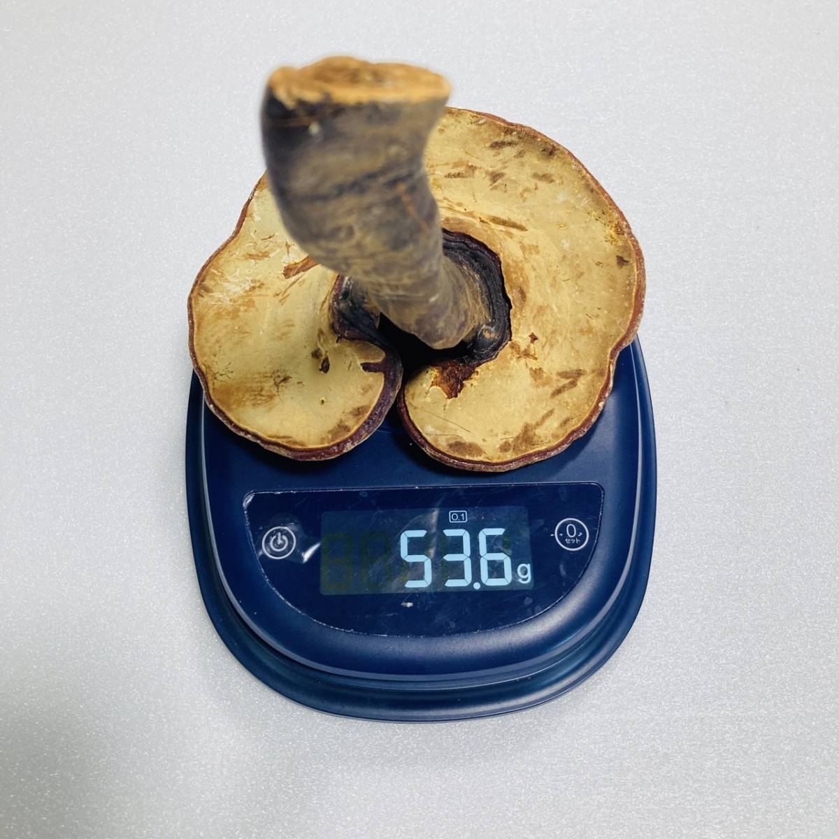 [ superior article!] bracket fungus mannentake 3 pcs set 60g rom and rear (before and after) * free shipping * 3,300 jpy ~ monkey noko deer ke mushrooms 