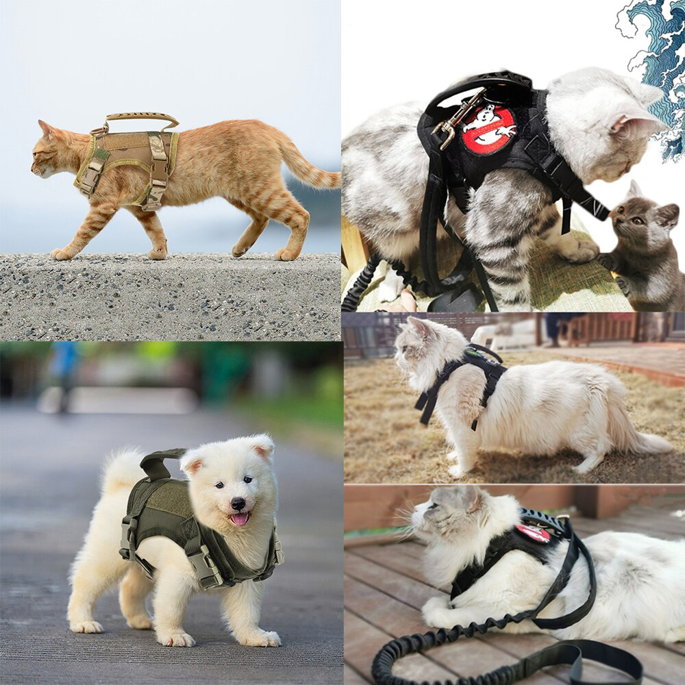 0036*1 jpy exhibition * dog, cat for adjustment possible the best, training, walking,Samsung dog for safety Harness, stylish, is possible to choose 4 color 