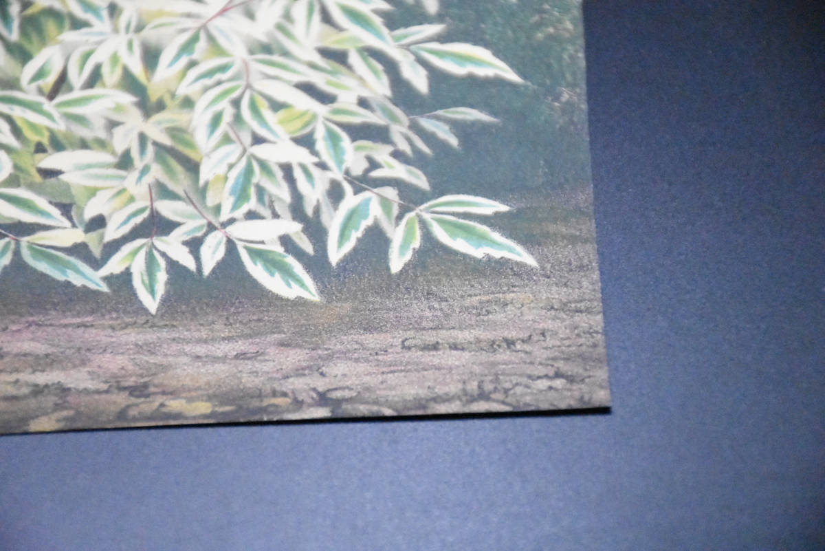 フランスアンティーク 博物画 植物画『※植物名記載なし　木　葉』 多色刷り石版画　ボタニカルアート_画像6