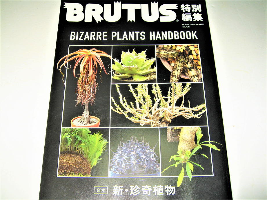 ◇【雑誌C】BRUTUS 特別編集・2020年◆特集：合本 新・珍奇植物◆コーデックス アガベ ケープバルブ アロエ サボテン ソテツ 玉虫色植物_画像1