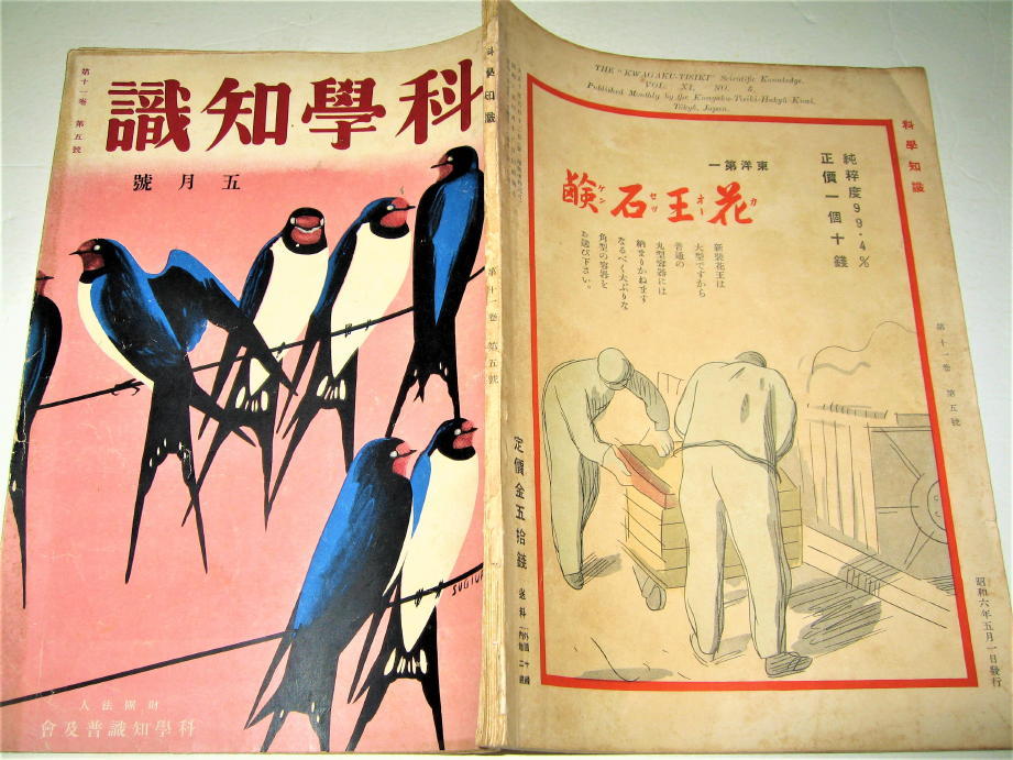 *[ magazine ] science knowledge *1931( Showa era 6 year )/ no. 11 volume no. 5.* cover design : Japanese cedar . non water 