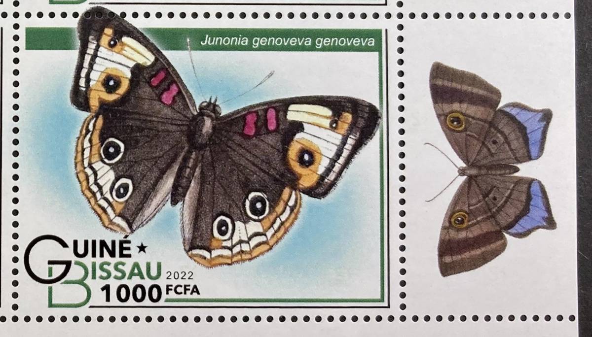 giniabisau2022 year issue butterfly stamp unused NH