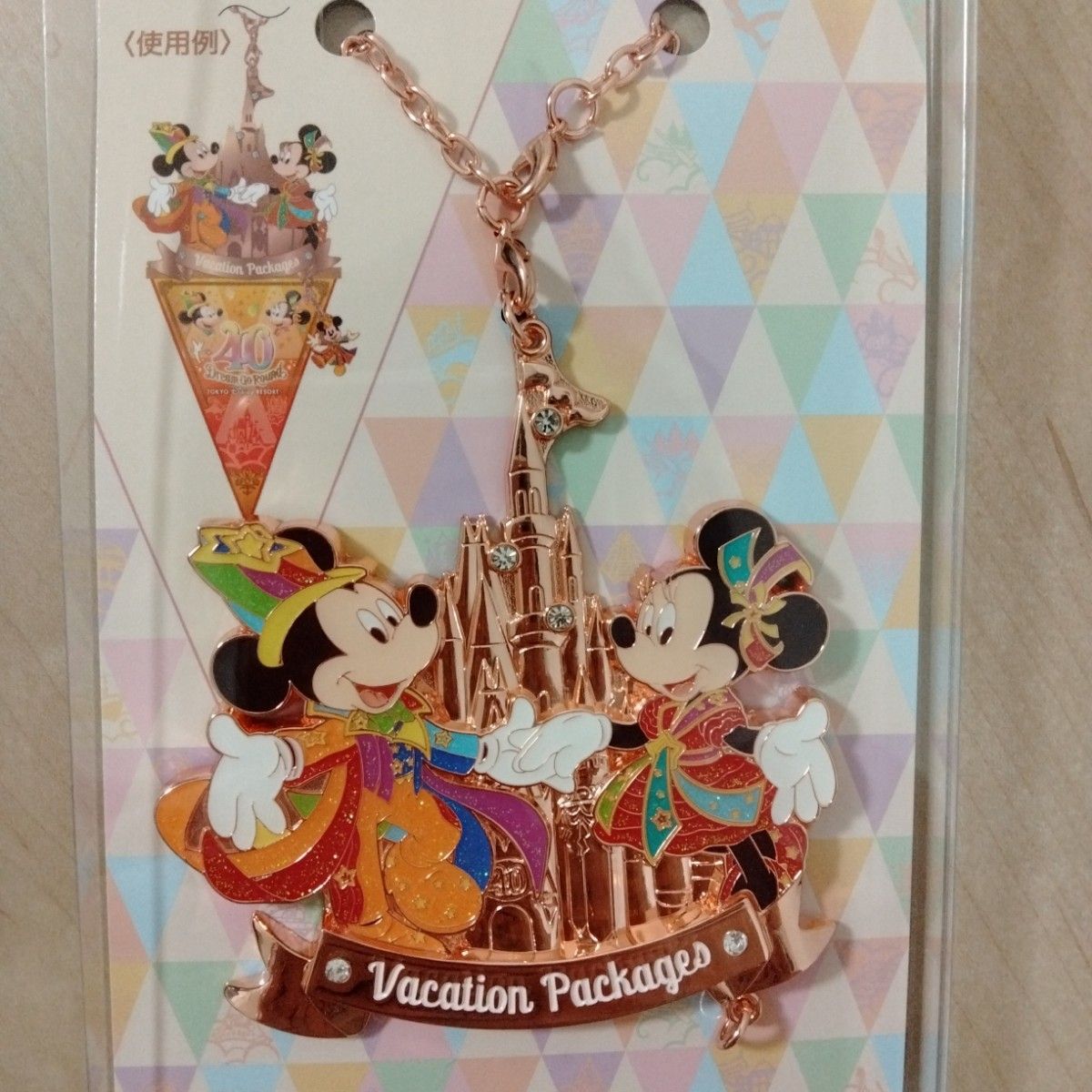 東京ディズニーリゾート パケーションパッケージ40周年記念品 新品、未使用