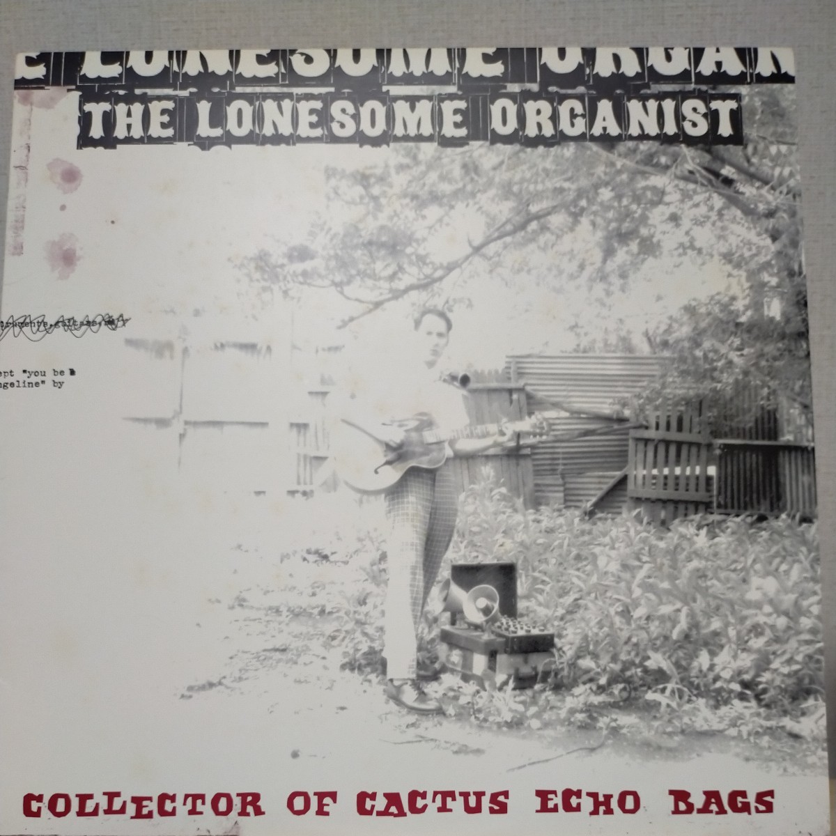 the lonesome organist collector of cactus echo bags lp レコード thrill jocky ポストロック アヴァンギャルドチェンバーポップ_画像1