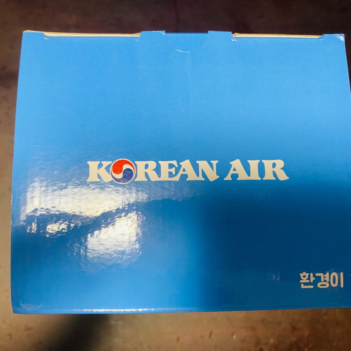 大韓航空　Korean air テディベア   貯金箱 