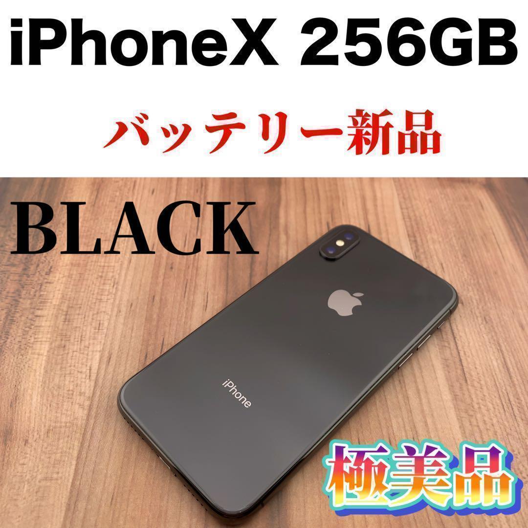 上品 46 iPhone X Space Gray 256 GB SIMフリー iPhone