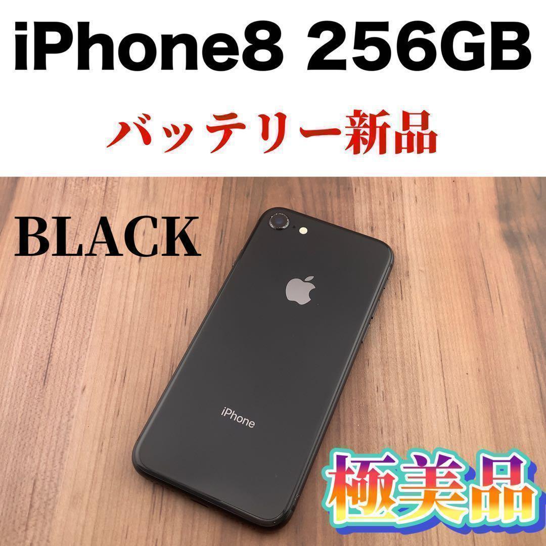 055iPhone 8 Space Gray 256 GB SIMフリー