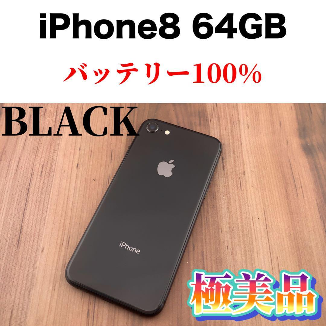 18iPhone 8 Space Gray 64 GB SIMフリー