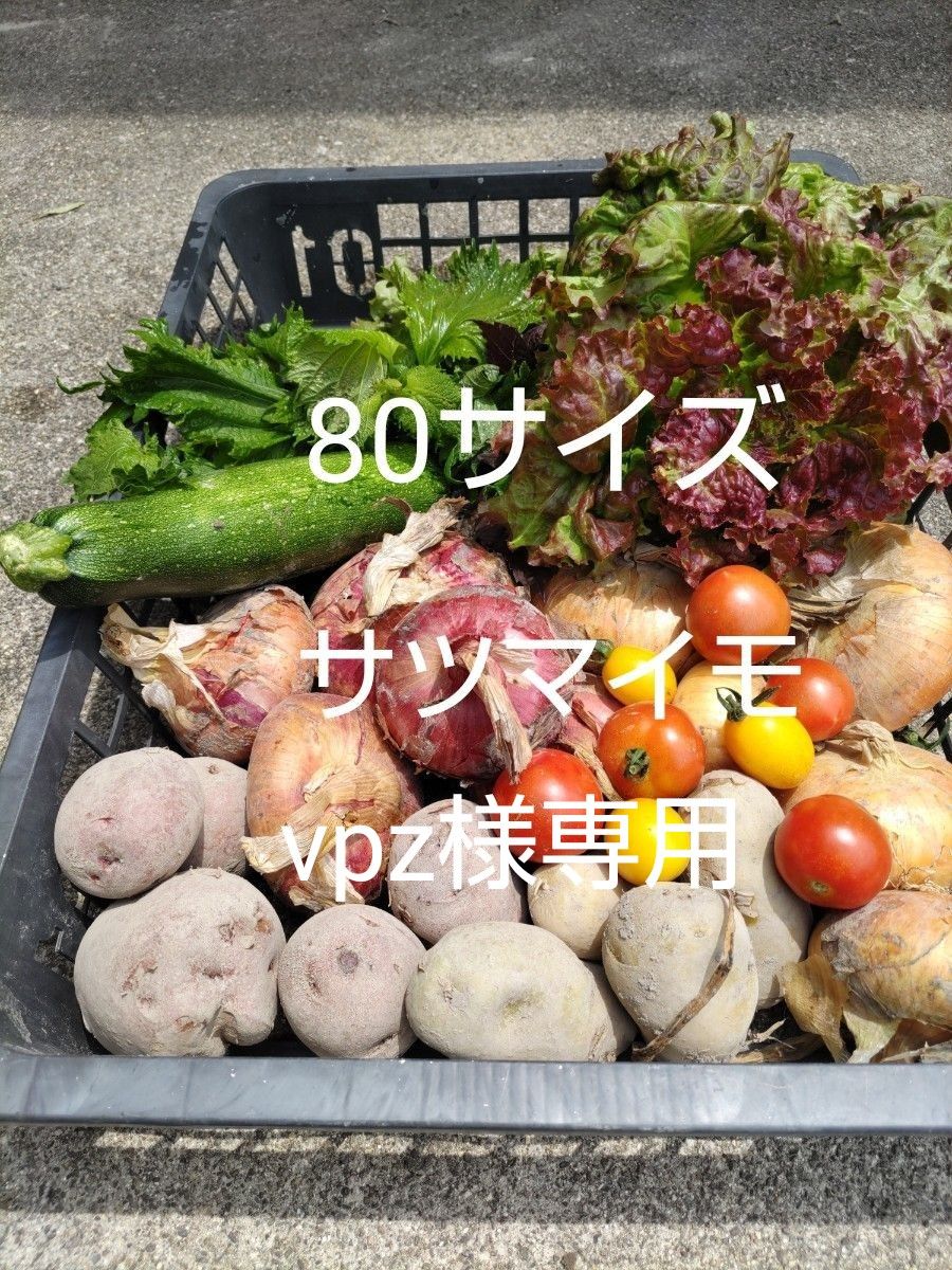 無農薬 新鮮野菜詰め合わせ 80サイズ 赤玉 サツマイモ 青紫蘇|PayPay