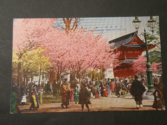 戦前 絵葉書 東京 桜 風景 8枚 まとめて / 吉原 遊廓 浅草 _画像4