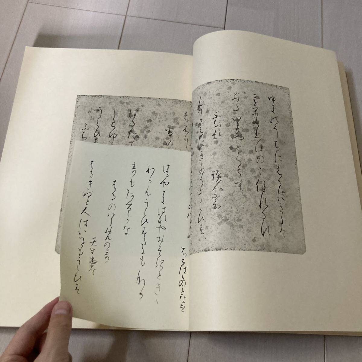 ⑩ 昭和55年発行 書道 和本 「日本名筆 第一集（十種十一冊）十一 伝源 俊頼筆 元永本古今集（二）」_画像3