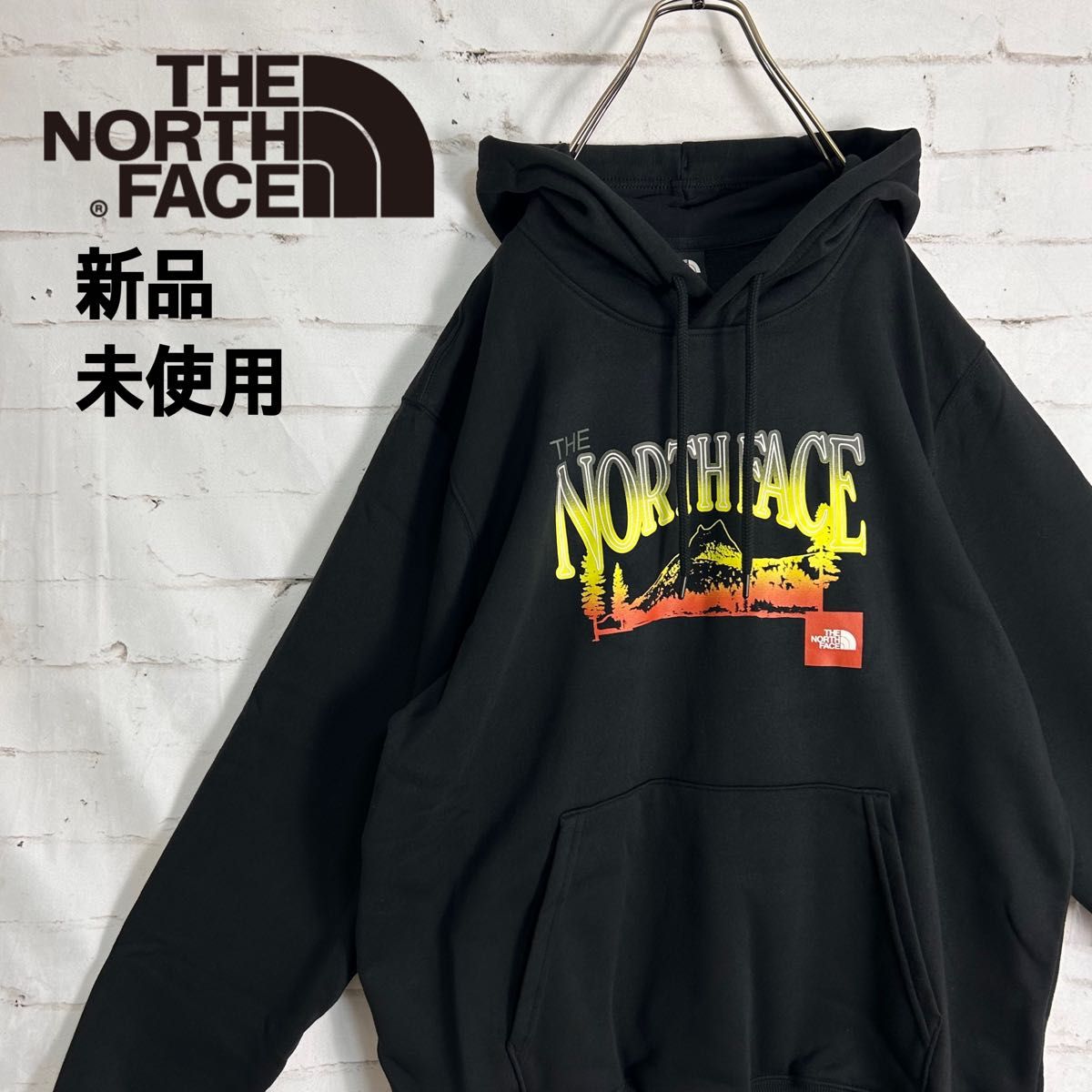 ザノースフェイス) THE NORTH FACE パーカー メンズ 大きいサイズ 裏