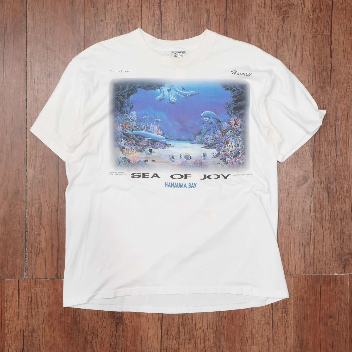 90s 1992 ONEITA vintage sea of joy Tシャツ　XL/USA製 袖裾シングル