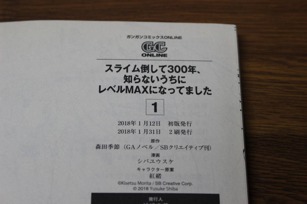 スライム倒して300年、知らないうちにレベルMAXになっていました　1～8巻　シバコユウスケ　森田季節　の860_画像3