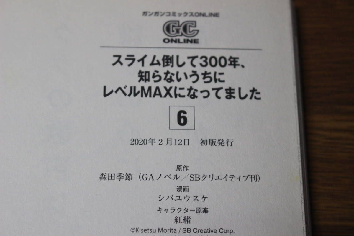 スライム倒して300年、知らないうちにレベルMAXになっていました　1～8巻　シバコユウスケ　森田季節　の860_画像8