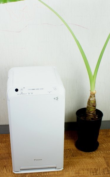 出産祝い 美品 DAIKIN ダイキン ストリーマ空気清浄機 2018年製 ACM55U