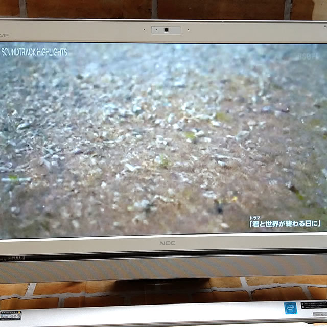 送料無料 最新Win11搭載テレビ機能付★NEC Valustar VS370R(W)/MS Office2019/CPU Celeron 2995U/メモリ8GB/SSD 1TB/無線マウス