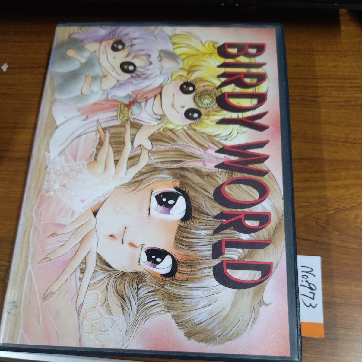 バーディーワールド BIRDY WORLD PC9801 ゲームソフト