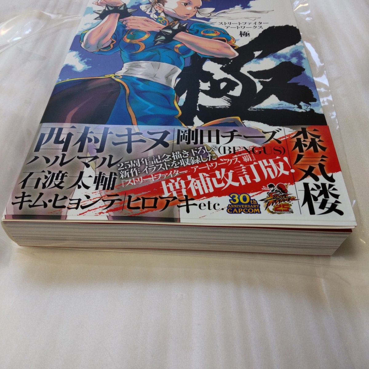 ストリートファイターアートワークス極 増補改訂版 (書籍 ストリートファイターアートワークス極 増補改訂版 (書籍