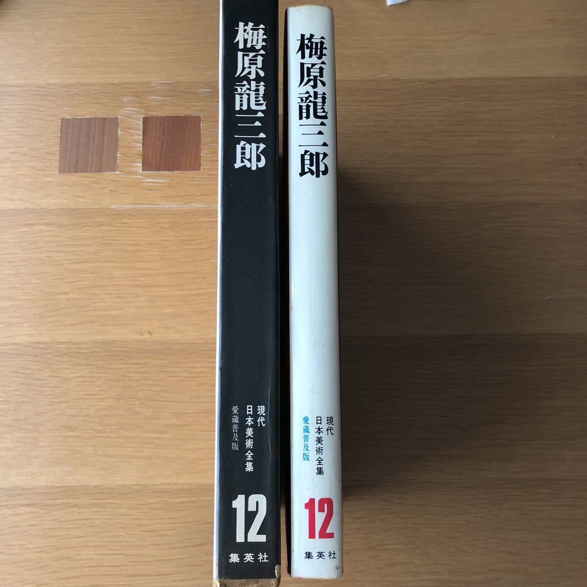 現代日本美術全集12 梅原龍三郎 集英社　送料無料
