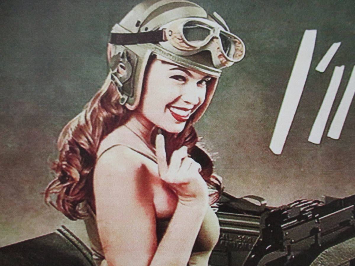 新品 壁掛けプレート 女性兵士 U.S.ARMY アーミー セクシーガール 美女 パネル 壁飾り インテリア雑貨 ブリキ看板 居酒屋 バー BAR 古着屋