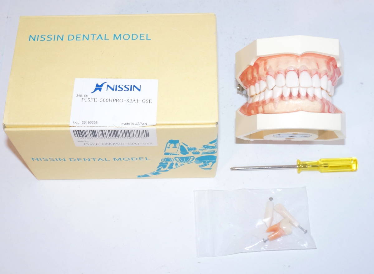 NISSIN 歯周病 歯科 模型 歯周外科 顎模型 歯科衛生士 ニッシン スケーリング スケーラー SRP 歯石 マネキン 超音波 ペリオ 舌 1_画像1
