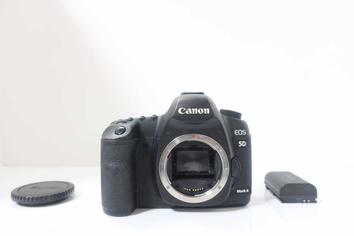 名作 ☆実用品☆ Canon キャノン EOS 5D MarkII #2594 キヤノン