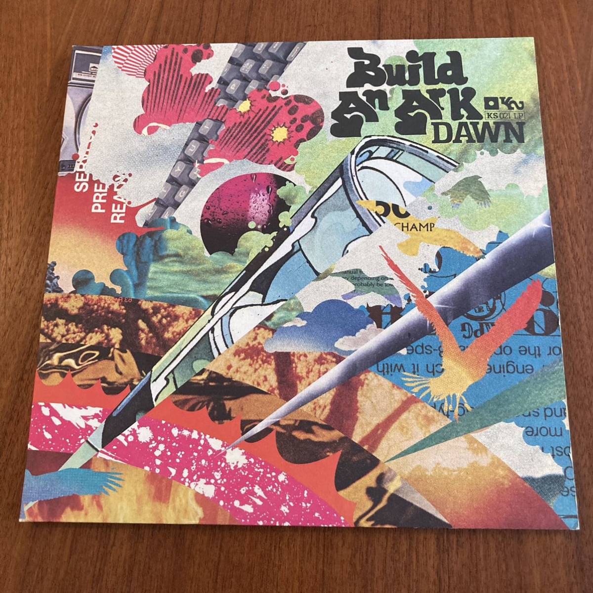 BUILD AN ARK ビルド・アン・アーク / DAWN (2LP) レコード