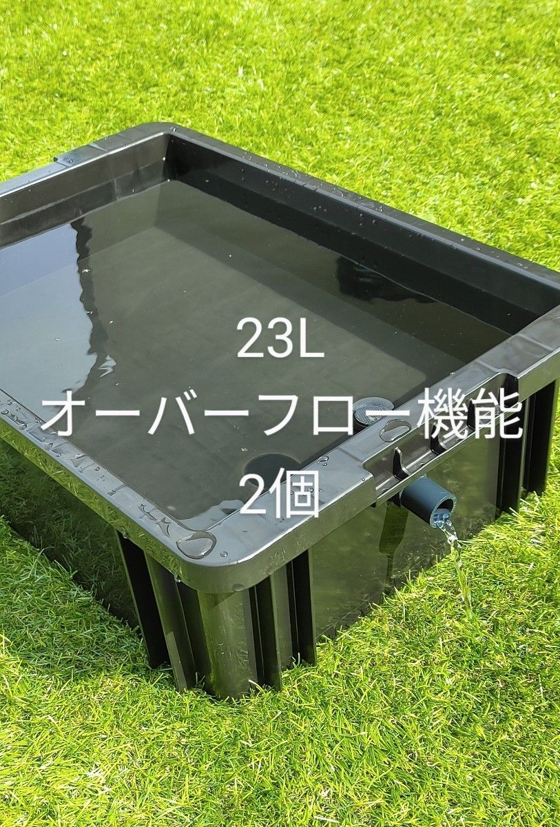 メダカ飼育ボックス　23L 2個　オーバーフロー機能