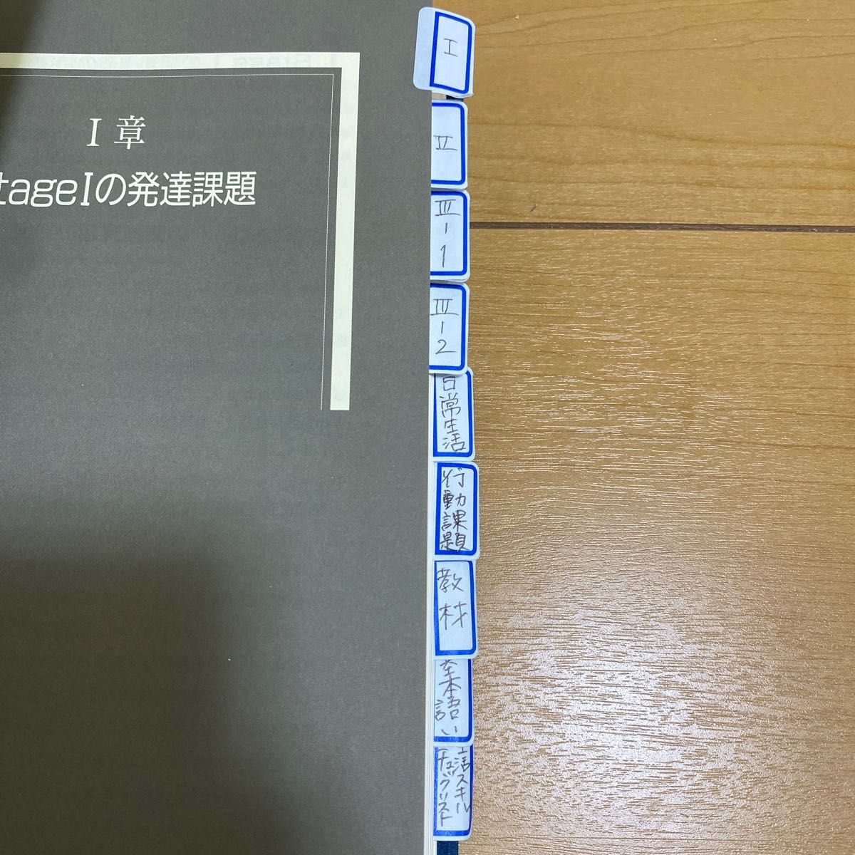 自閉症治療の到達点2 認知発達治療の実践マニュアル 自閉症の 自閉症治療の到達点2 認知発達治療の実践マニュアル 自閉症の