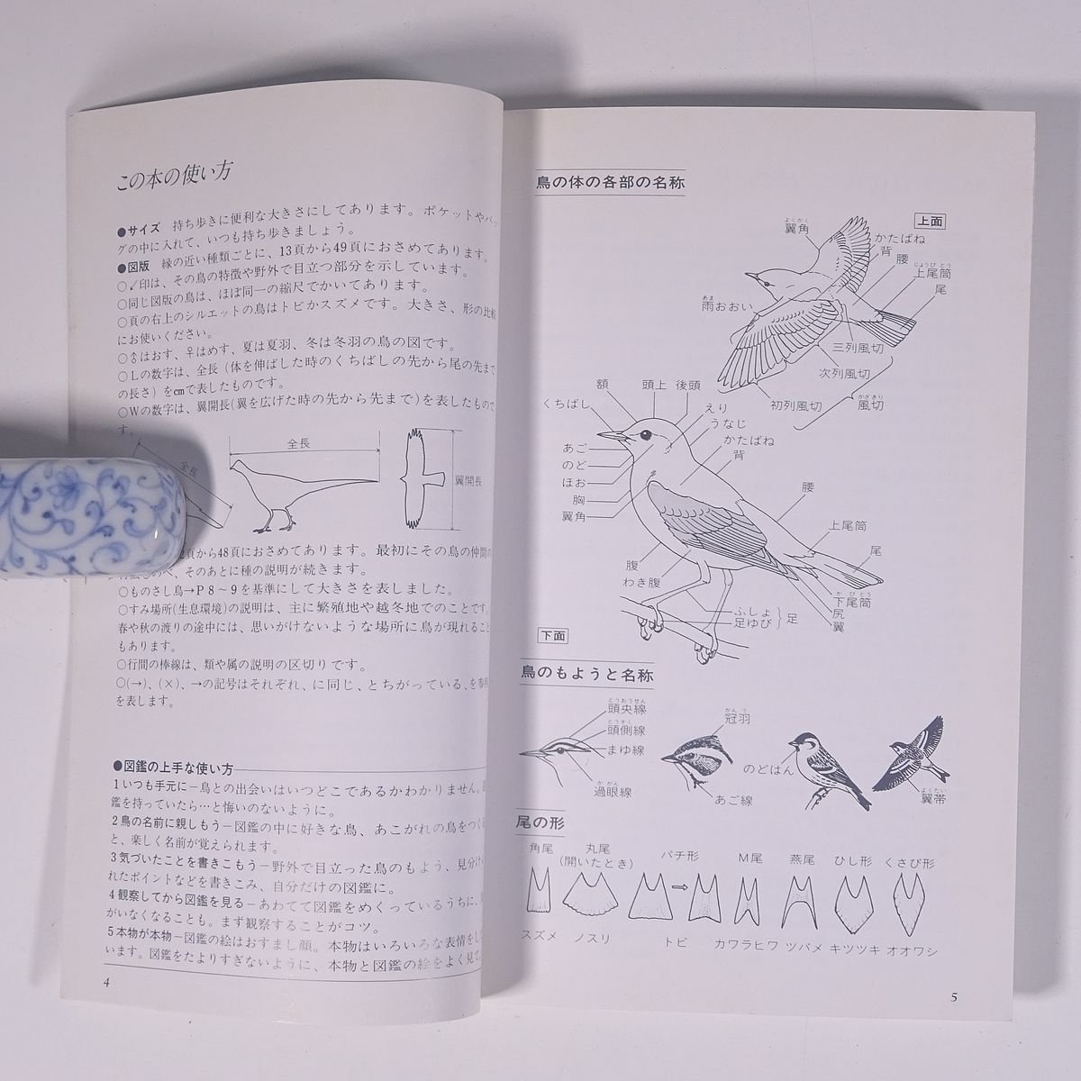  гора .. птица полевые наблюдения рука книжка 1 Япония дикая птица. .1986 монография птица наблюдение иллюстрации 