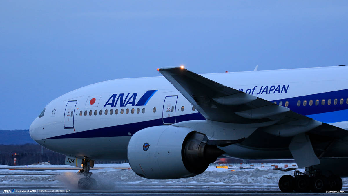 お買い得品 ANA 国内線航空券 国内全路線対象 片道 800マイル お買い得品 ANA 国内線航空券 国内全路線対象 片道 800マイル