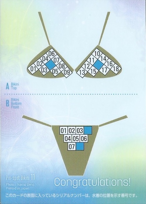 平嶋夏海　Vol.5　トレーディングカード　　ピンスポビキニカード　　PIN-SPOT BIKINI　11 B　　７枚限定_画像2