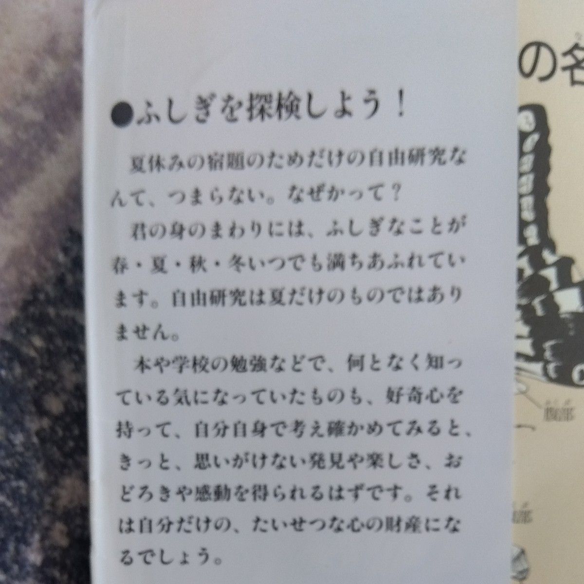 自由研究図鑑　身近なふしぎを探検しよう 有沢重雄／文　月本佳代美／絵