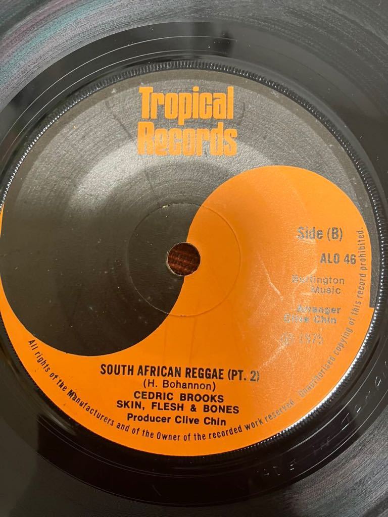 cedric brooks-south african reggae_画像2